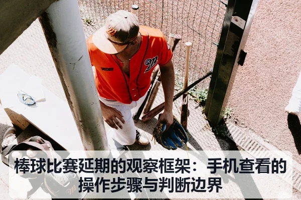 棒球比赛延期的观察框架：手机查看的操作步骤与判断边界